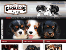Tablet Screenshot of andresenscavaliers.com